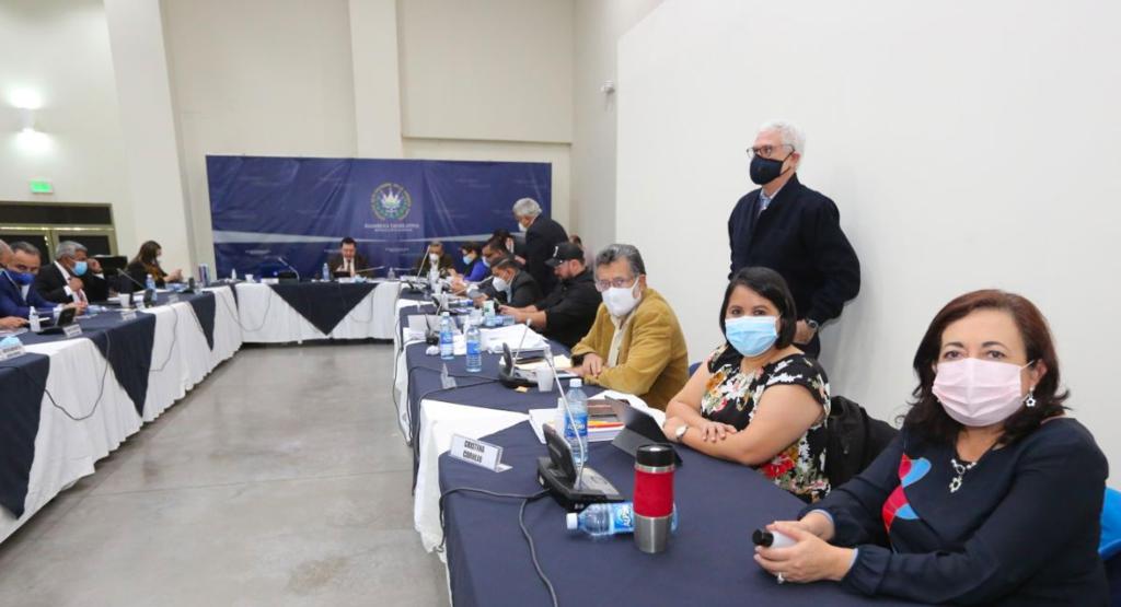 diputados-proponen-que-salvadorenos-salgan-masivamente-en-lugar-que-por-numero-de-dui-durante-la-emergencia